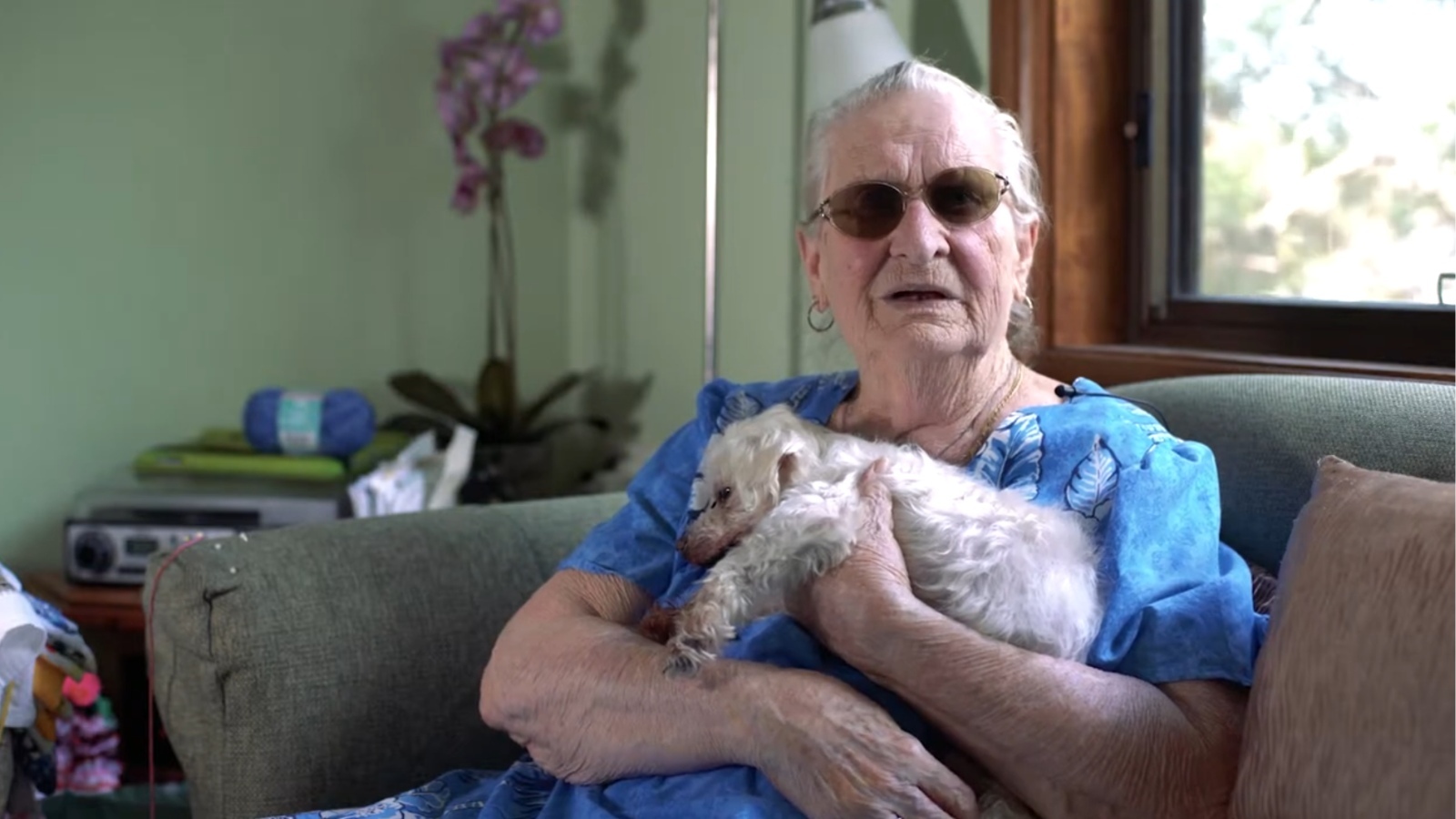 Gloria's Story