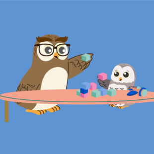 Owl Kids Program