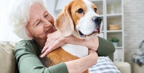 Older Australians safety during heatwaves and bushfires